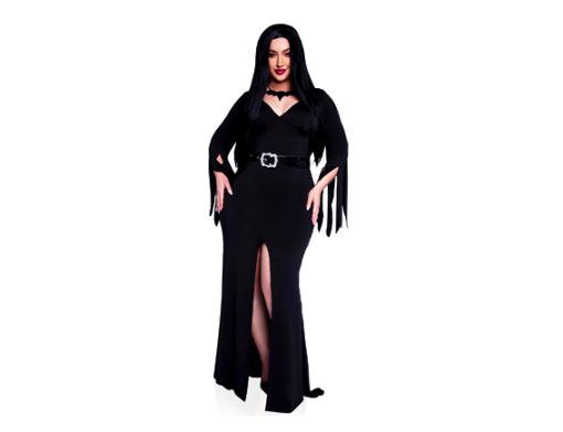 Adams family morticia jurk zwart lang