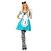 Alice in wonderland blauw wit tuniek