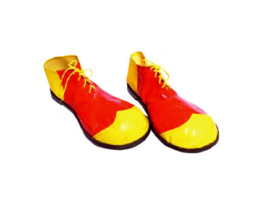 Clown schoenen deluxe