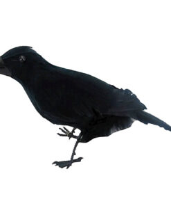 Kraai prop voor op schouder of ter decoratie