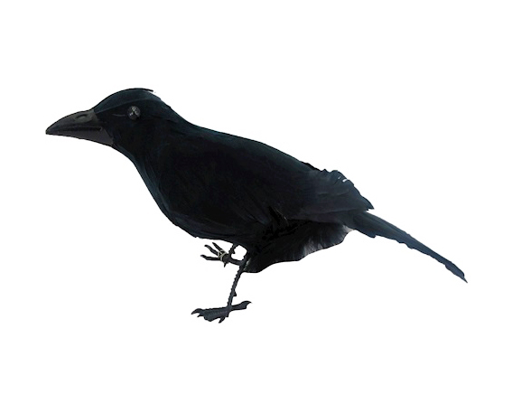 Kraai prop voor op schouder of ter decoratie